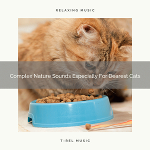 Interesting Nature Whispers For Our Cats