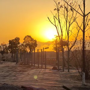 爱似水仙（致外婆）