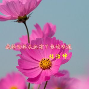 我的世界从此有了你的味道