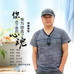 你伤了我的心我为你丢了魂