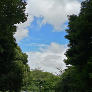 昔のサムライみたいにさ (feat. かな)