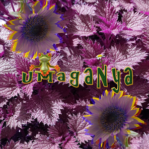 Umaganya
