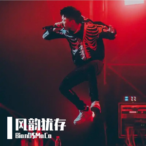 风韵犹存Bobbynopeace Type巴吞鲁日说唱伴奏