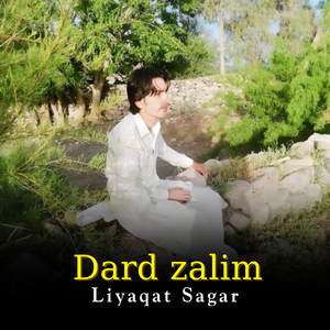 Dard zalim