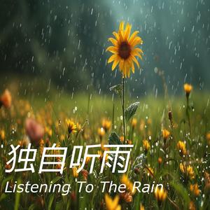 独自听雨