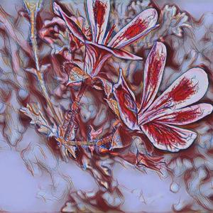 Chiove (feat. NATURE)