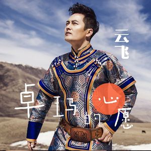 卓玛的心愿-云飞