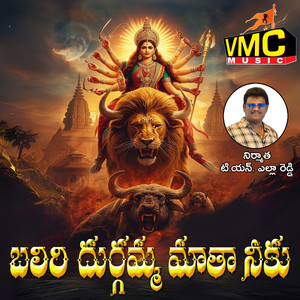 Baliri Durgamma Mataa Neeku