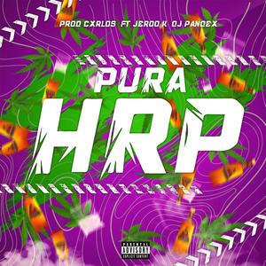 PURA HRP (feat. Jeroo K)