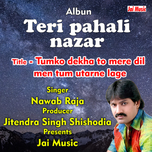 Tumko dekha to mere dil men tum utarne lage (Hindi Song)