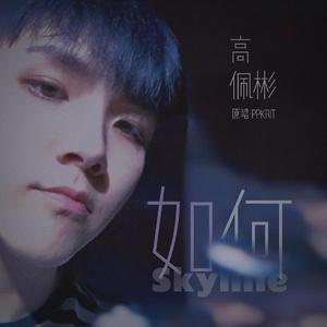 如何 (Skyline)