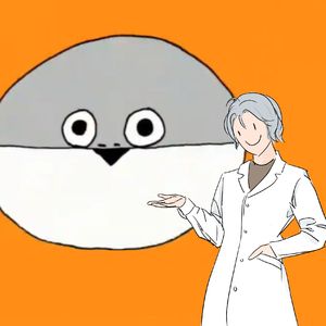 琴葉茜・葵-萨卡班甲鱼提醒你注意实验室安全（可令怕 remix）