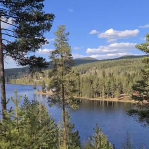 Gåva från himmelen