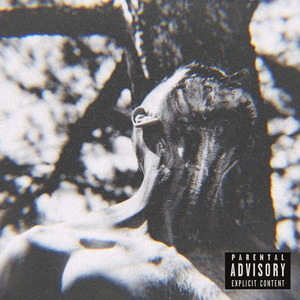 Выстрел (Почувствуй То же, Что и Я)