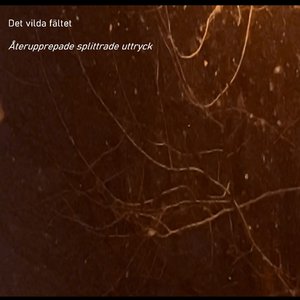 Återupprepade splittrade uttryck