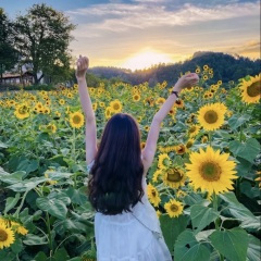 花好月圆夜