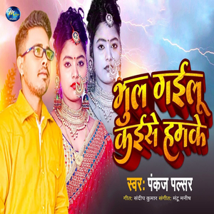 Bhul Gailu Kaise Hamke