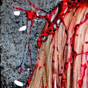 an apology to myself (earlysketch v2.3)