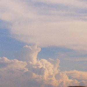 廉价的眼泪(Prod.by 摆渡上仙)