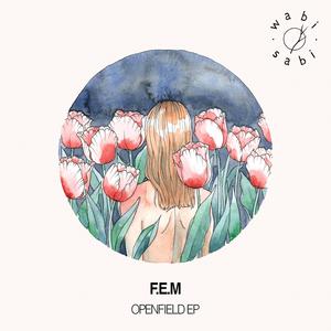 Openfield