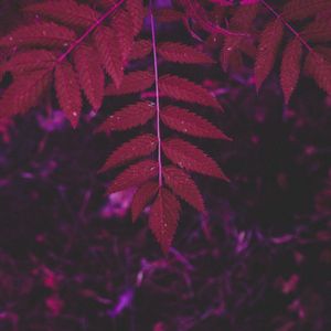 微妙的水疗护理心情