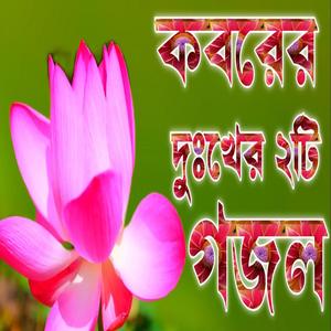 কবরের দুঃখের সেরা ২টি গজল একবার শুনুন ভালো লাগবে ইনশাআল্লাহ