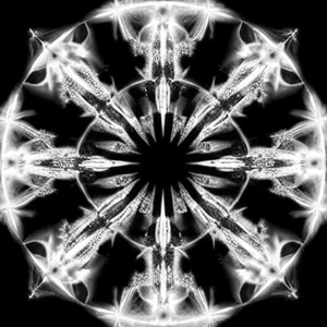 MECNUN (Cover)