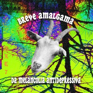 Eu Sou o Pior no Que eu Faço