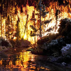 An Evil Charm (Where Is the Forest)