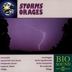 Equatorial Rain Forest