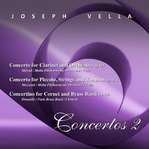 Concerto for Piccolo, Strings and Timpani, Op. 114: I. Allegretto