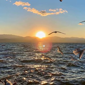 日出的声音（Prod by Mylinbadass）