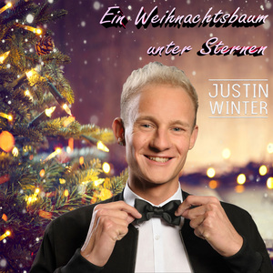 Ein Weihnachtsbaum unter Sternen