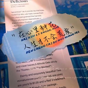 我的人生连毛坯都不是