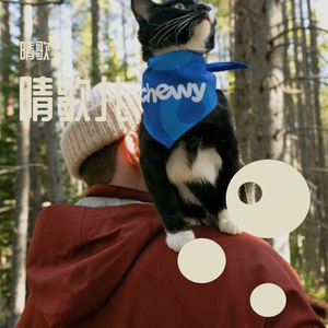 既然交汇过 何必问要去哪个远方