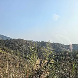 成为你路过的某某