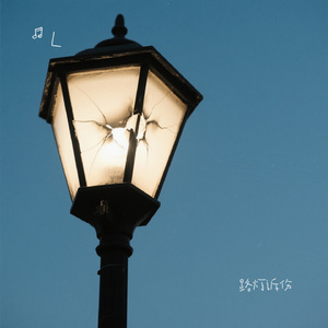 路灯诉伤