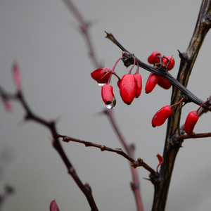 Lay Back (Sea Sound)