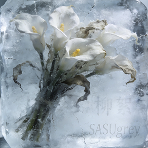 柳絮pt.2（prod.TKHenanR）