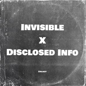 Invisible (feat. L.E.E.)