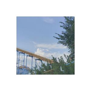 一场蓄谋已久的逃离