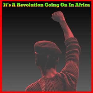 It's A Revolution Going On In Africa (B Side)