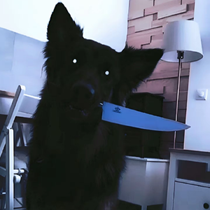 [Trap]垄断-BOBBYNOPEACE x SASIOVERLXRD Type Beat