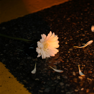 사이 (Feat. 미소년) (Prod. Lilkey)