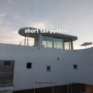 useful apps for android