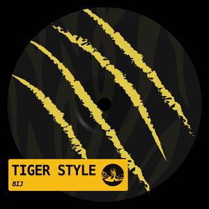 Tiger Style