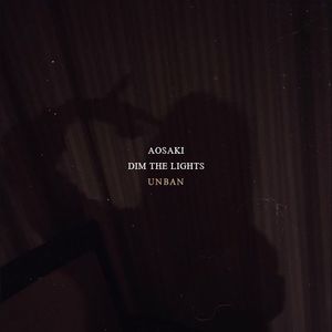 DIM THE LIGHTS
