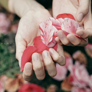 모두 다 괜찮아질 거야