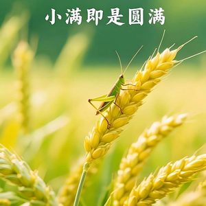 半满