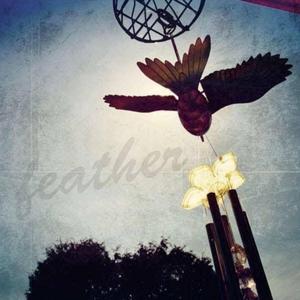 Feather